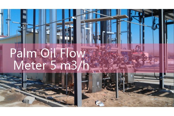 Palm Oil Flow Meter 5 m3/h Biodiesel Feedstock Stream Sizing